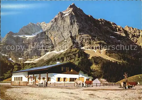 Eng Alm Rasthuette Kuehe Karwendelgebirge