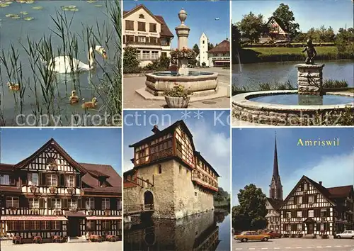 Amriswil TG Fachwerk Schwan Brunnen  Kat. Amriswil