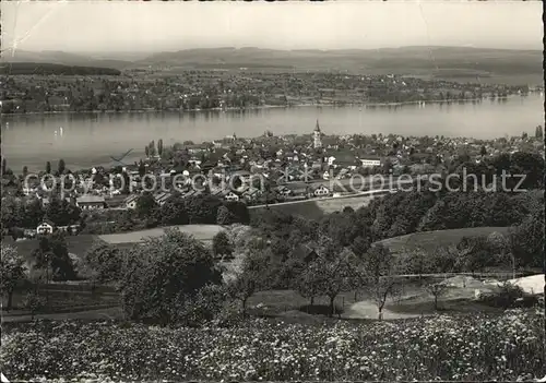 Steckborn TG Untersee Panorama Kat. Steckborn