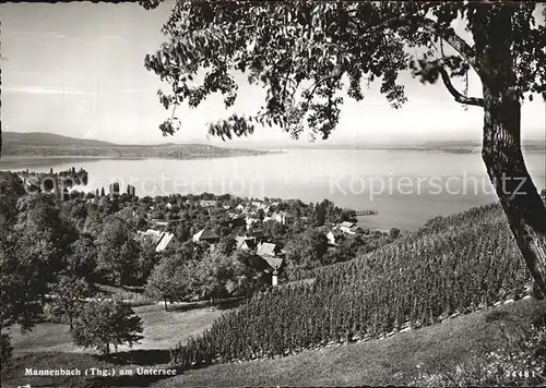 Mannenbach Untersee Hotel Schiff