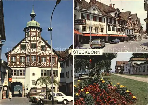 Steckborn TG Rathaus Parkanlage Stadtansicht Kat. Steckborn
