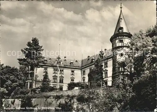 Huettwilen Kurhaus Schloss Steinegg Kat. Huettwilen