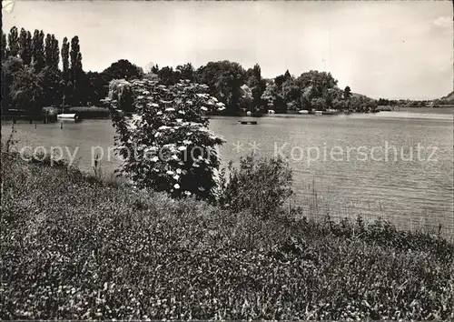 Mammern Parkpartie am See Kat. Mammern