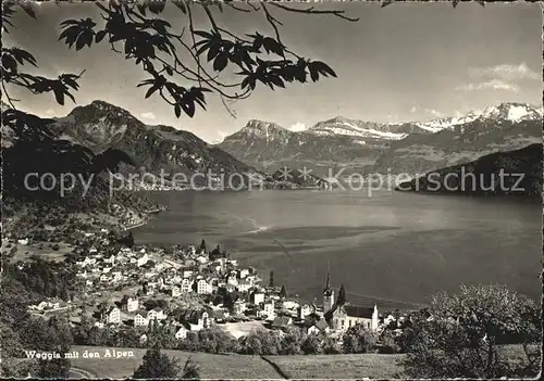 Weggis Vierwaldstaettersee mit Alpenpanorama