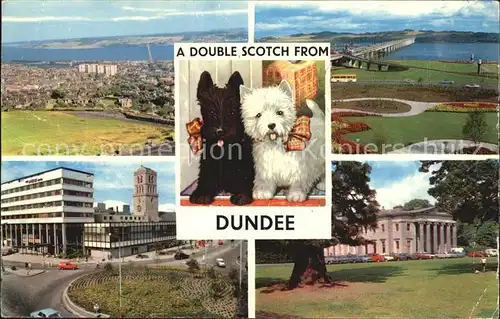 Dundee City Fliegeraufnahme Scotch Hunde Kat. Dundee City