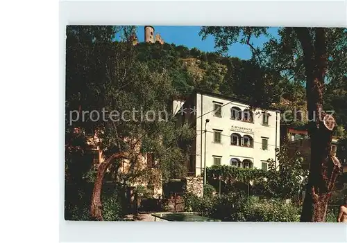 Lago di Iseo Albergo Sensole con giardino sul lago