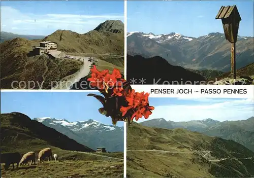 Passo Pennes Bolzano Penser Joch