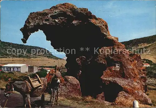 Sardegna Castelsardo Elefante