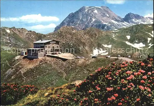 Passo Pennes Bolzano Penserjoch Alpenrosenhof