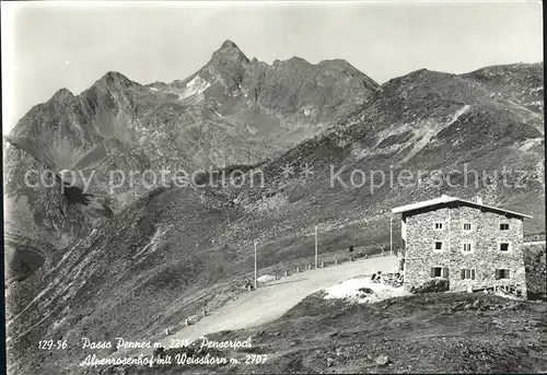 Passo Pennes Bolzano Alpenrosenhfo Weisshorn 