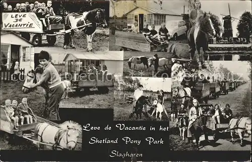 Slagharen Leve Vacantie Shetland Pony Park
