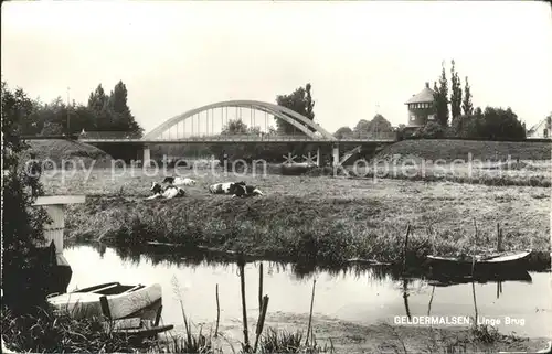 Geldermalsen Linde Brug Kuehe