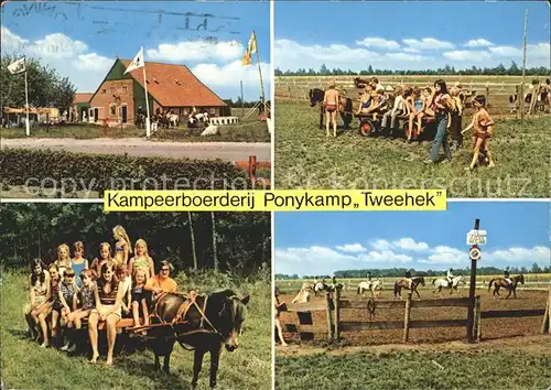 Westdorp Kampeerboerderij Ponykamp Tweehek