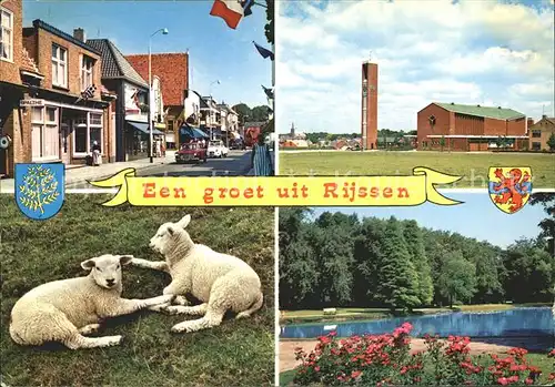 Rijssen mit Schafen