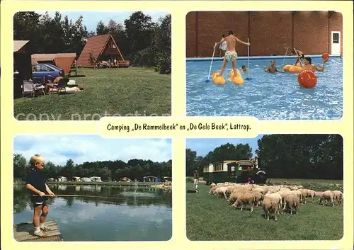 Lattrop Camping De Rammelbeek Angeln Swimming Pool Schafe