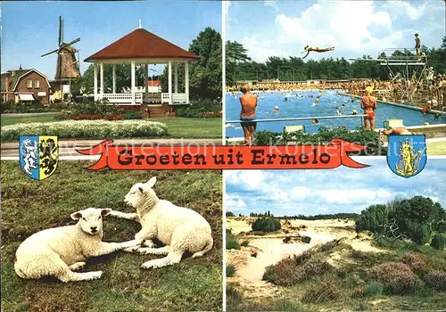 Ermelo Freibad Schafe Muehle Duenen