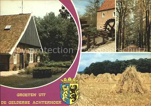 Achterhoek Gelderland Muehle