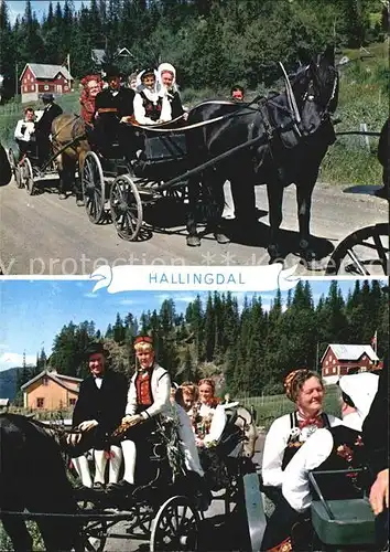 Hallingdal Brudefolge Wedding procession 