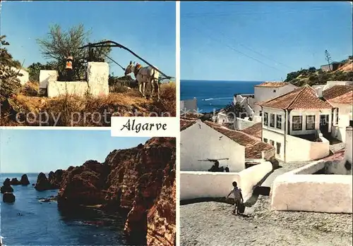 Algarve Haeuser an der Steilkueste