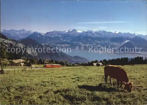 Rigi mit Viewaldstaettersee