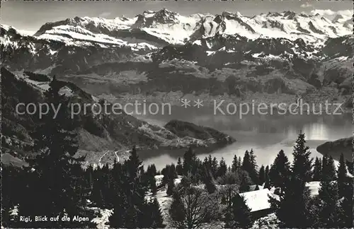 Rigi mit Alpenpanorama /  /