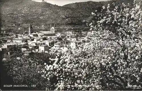 Soller Mallorca Spanien Paseo Monte Berge Dorf