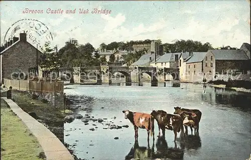 Brecon Castle and Usk Bridge Cow