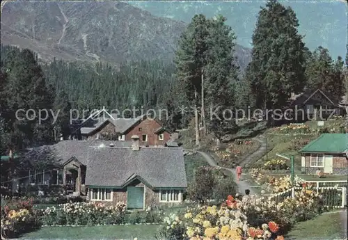 Kashmir Gulmarg