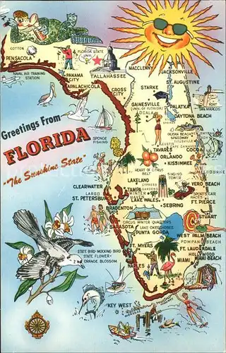 Florida US State Sushine State Landkarte