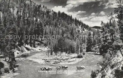 Idaho US State Fording Middle Fork of Salmon River