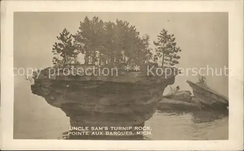 Michigan US State Uncel Sams Turnip Rock 