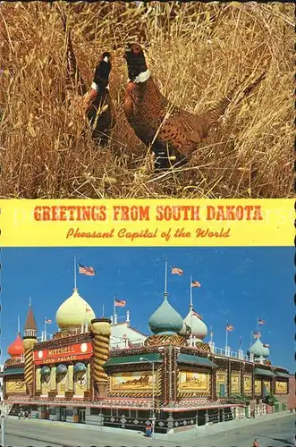 South Dakota US State Pheasant Capital of the World