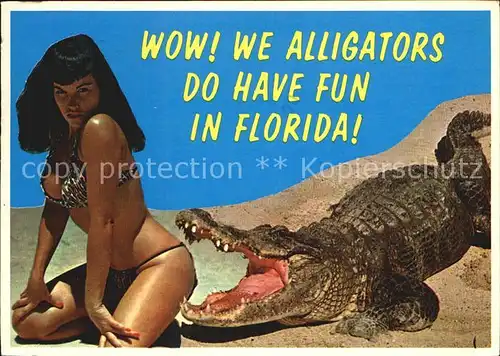 Florida US State Alligator 