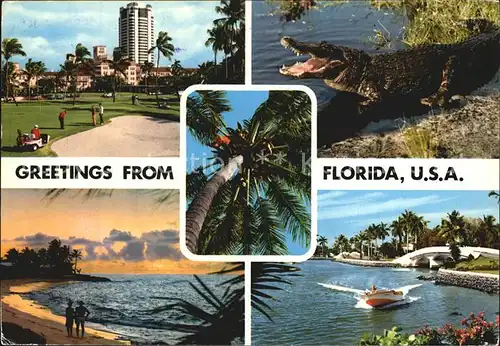 Florida US State Golfplatz Strand Krokodil