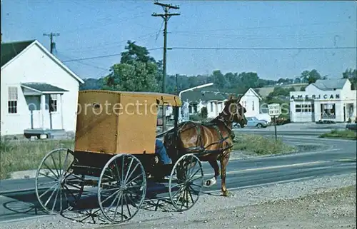 Pennsylvania US State Amish horse and buggy