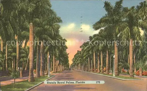 Florida US State Stately Royal Palms