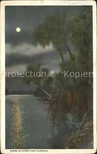 Florida US State Scene at Even Tide moonlight