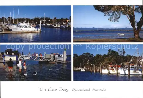 Queensland Tin Can Bay Feeding Dolphins Trawlers in Snapper Creek