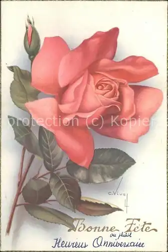 Rose Kuenstlerkarte Kat. Pflanzen