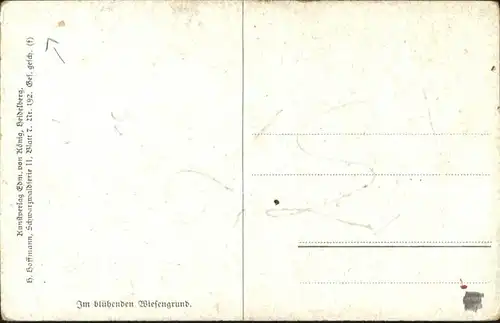 Hoffmann Heinrich Wiesengrund Schwarzwaldhaus / Kuenstlerkarte /
