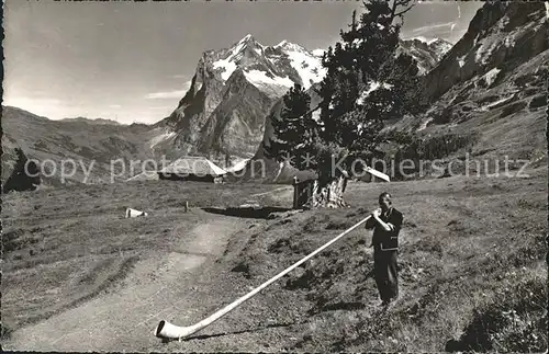 Alphorn Alphornblaeser Wetterhorn Kat. Musik