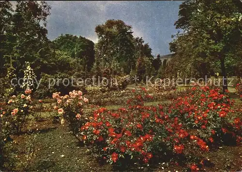 Blumen Parks und Gaerten DDR  Kat. Pflanzen