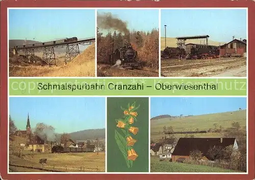 Lokomotive Schmalspurbahn Cranzahl Oberwiesenthal  Kat. Eisenbahn