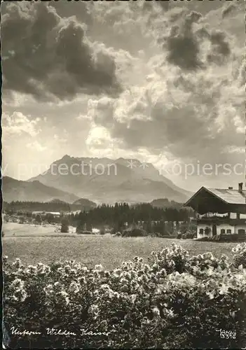 Foto Popp Nr. 3396 Wilder Kaiser  Kat. Fotografie