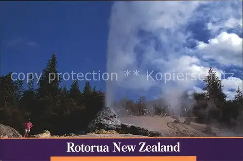 Geysire Vulcans Geysers Vulkane Lady Knox Geyser Waiotapu Thermal Park  Kat. Natur