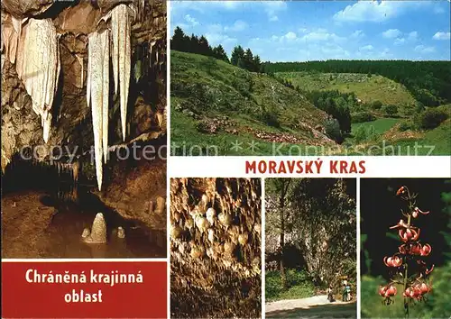 Hoehlen Caves Grottes Moravsky Kras Chranena krajinna oblast  Kat. Berge