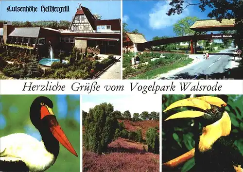 Voegel Vogelpark Walsrode Luisenhoehe Heidjergrill Kat. Tiere