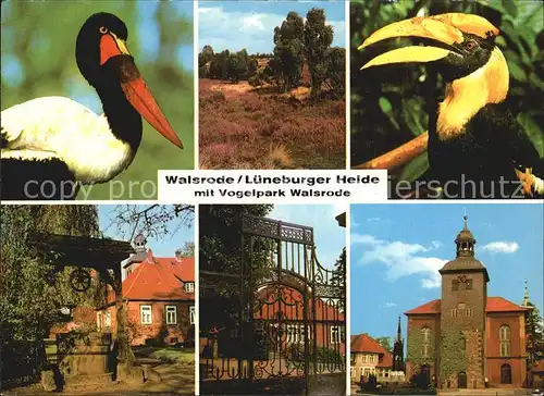 Voegel Vogelpark Walsrode Lueneburger Heide  Kat. Tiere