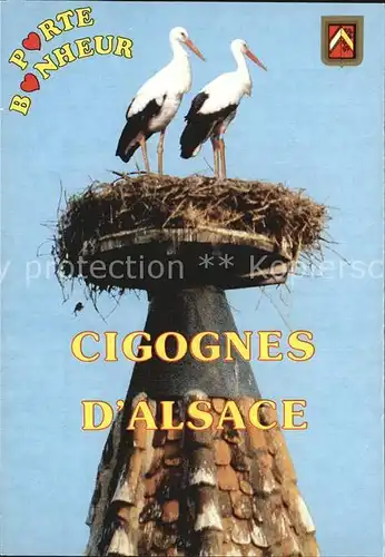 Storch Cigognes Alsace  Kat. Tiere
