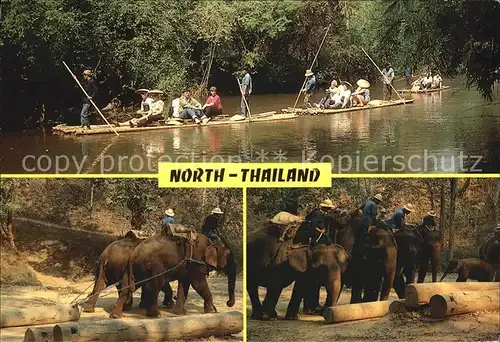 Elefant North Thailand Floating Working Elephant  Kat. Tiere